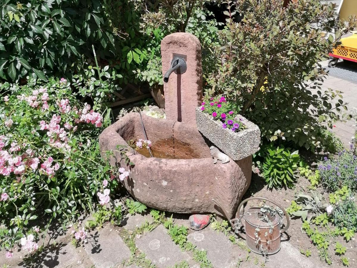 Jogis Ferienwohnungen Friburgo in Brisgovia Esterno foto